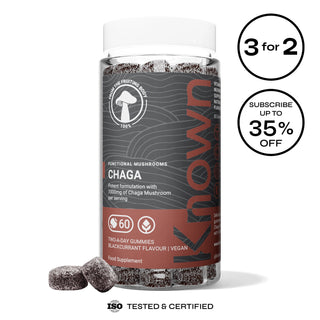 Chaga Mushroom Vegan Gummies